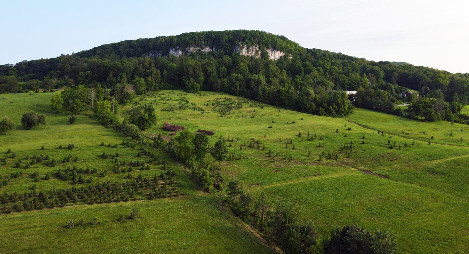 Photo of the Niagara Escarpment in Milton, Ontario